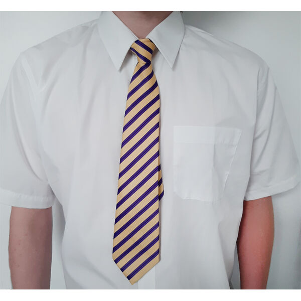 Short Sleeve  Polycotton Shirts - Twin Pack - senior Thumbnail