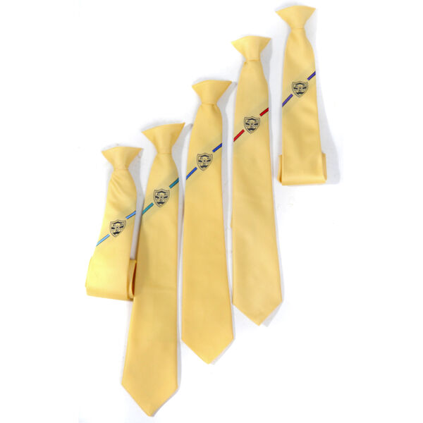 Beaminster School Year 11 Tie Thumbnail